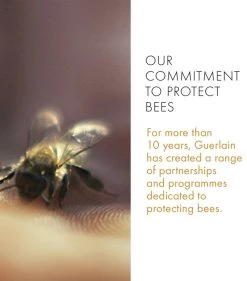 Brand new ❤️ Guerlain Abeille Royale Age-Defying Programme Skincare Gift Sets 🔥 -Lancome Official Store guerlain abeille royale age defying programme 16497969 32111985 1000