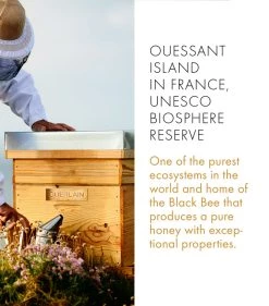 Hot Sale 😉 Guerlain Abeille Royale Eye R Repair Serum (20ml) Serums 👍 -Lancome Official Store guerlain abeille royale eye r repair serum 20ml 16459846 31887572 1000