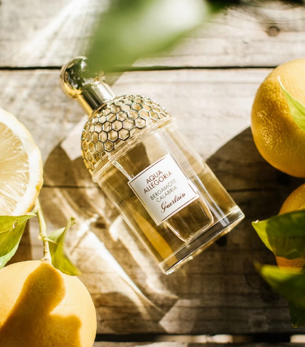 Best reviews of 🔔 Guerlain Aqua Allegoria Bergamot Calabria Eau de Toilette Womens Perfume 🥰 4 Best reviews of 🔔 Guerlain Aqua Allegoria Bergamot Calabria Eau de Toilette Womens Perfume 🥰 - Image 2