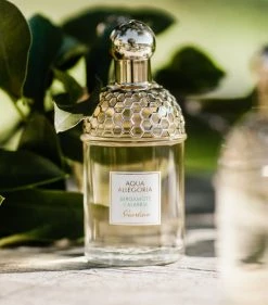 Best reviews of 🔔 Guerlain Aqua Allegoria Bergamot Calabria Eau de Toilette Womens Perfume 🥰 9 Best reviews of 🔔 Guerlain Aqua Allegoria Bergamot Calabria Eau de Toilette Womens Perfume 🥰 -Lancome Official Store guerlain aqua allegoria bergamot calabria eau de toilette 14800147 25523812 1000