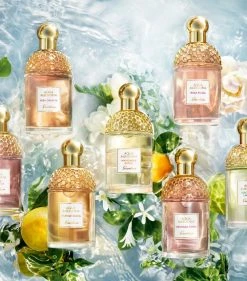 Cheap 😍 Guerlain Aqua Allegoria Nettare Di Sole Eau de Toilette (75ml) Womens Perfume 🧨 -Lancome Official Store guerlain aqua allegoria nettare di sole eau de toilette 75ml 16826328 33255323 1000