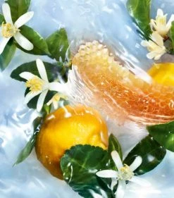 Cheap 😍 Guerlain Aqua Allegoria Nettare Di Sole Eau de Toilette (75ml) Womens Perfume 🧨 -Lancome Official Store guerlain aqua allegoria nettare di sole eau de toilette 75ml 16826328 33256134 1000