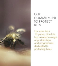 New 🧨 Guerlain GUER AR CLEAN OIL 150ML PUMP 20 Oils 💯 -Lancome Official Store guerlain guer ar clean oil 150ml pump 20 15706345 33739160 1000