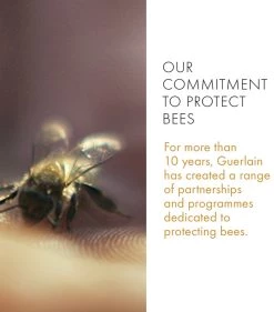 Discount ❤️ Guerlain GUER AR HAND BALM 40ML TB 20 Hand Creams ⭐ 7 Discount ❤️ Guerlain GUER AR HAND BALM 40ML TB 20 Hand Creams ⭐ -Lancome Official Store guerlain guer ar hand balm 40ml tb 20 15801108 28837466 1000