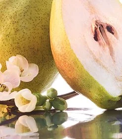 Promo 🔔 Guerlain GUER MON G SPARKLING EDP 100ML 21 Womens Perfume 😀 -Lancome Official Store guerlain guer mon g sparkling edp 100ml 21 16521150 31980243 1000