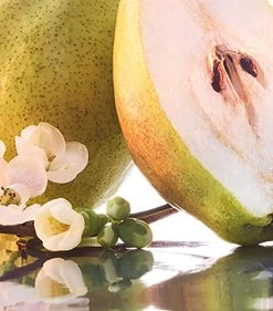 Best Sale 🛒 Guerlain GUER MON G SPARKLING EDP 50ML 21 Womens Perfume ✔️ -Lancome Official Store guerlain guer mon g sparkling edp 50ml 21 16521149 31979087 1000