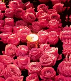 Flash Sale 🔥 Lancôme Absolue Soft Cream (60ml) Brightening Creams ⌛ -Lancome Official Store lancome absolue soft cream 60ml 15067753 25942768 1000