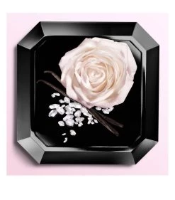 Promo 🔔 Lancôme LANC LNT DIAMANT BLANC 50ML 19 Womens Perfume 😉 -Lancome Official Store lancome lanc lnt diamant blanc 50ml 19 15676473 28526777 1000