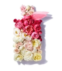 Outlet 😀 Lancôme LANC LVEB EN ROSE EDT 100ML 19 Womens Perfume 👍 -Lancome Official Store lancome lanc lveb en rose edt 100ml 19 15676503 28526768 1000