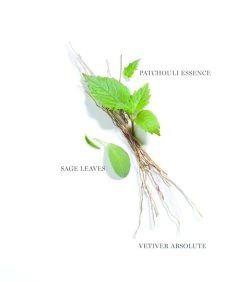 Promo 🧨 Lancôme Maison Patchouli Tonka Eau de Parfum Womens Perfume 💯 -Lancome Official Store lancome maison patchouli tonka eau de parfum 14824907 25428449 1000